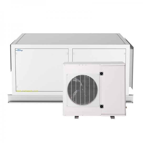 Thermostat humidistat Series FL-5.2C