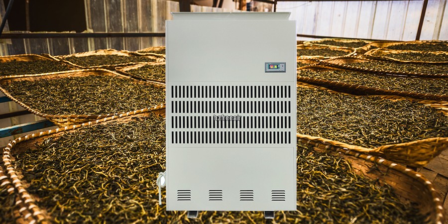 The Roasting Tea Revolution: How a High-Temperature Dehumidifier Is Transforming the 